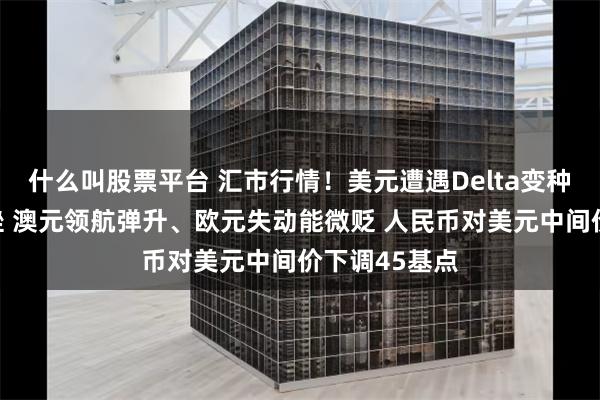 什么叫股票平台 汇市行情！美元遭遇Delta变种病毒吞噬下挫 澳元领航弹升、欧元失动能微贬 人民币对美元中间价下调45基点