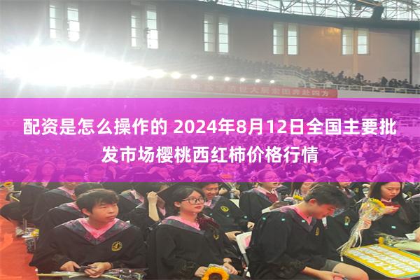 配资是怎么操作的 2024年8月12日全国主要批发市场樱桃西红柿价格行情