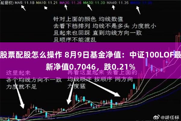 股票配股怎么操作 8月9日基金净值：中证100LOF最新净值0.7046，跌0.21%