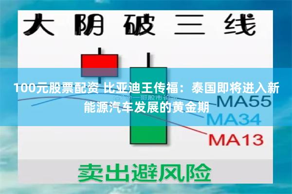 100元股票配资 比亚迪王传福：泰国即将进入新能源汽车发展的黄金期