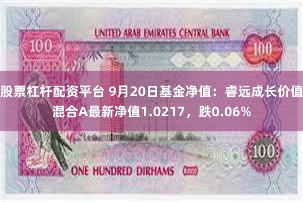 股票杠杆配资平台 9月20日基金净值：睿远成长价值混合A最新净值1.0217，跌0.06%