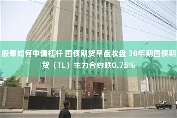 股票如何申请杠杆 国债期货早盘收盘 30年期国债期货（TL）主力合约跌0.75%