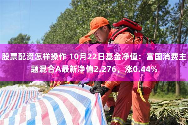 股票配资怎样操作 10月22日基金净值：富国消费主题混合A最新净值2.276，涨0.44%