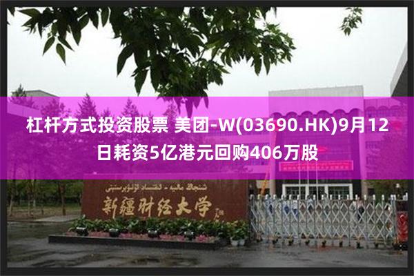 杠杆方式投资股票 美团-W(03690.HK)9月12日耗资5亿港元回购406万股