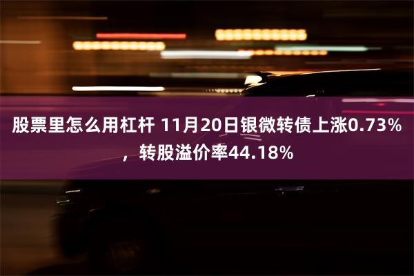 股票里怎么用杠杆 11月20日银微转债上涨0.73%，转股溢价率44.18%