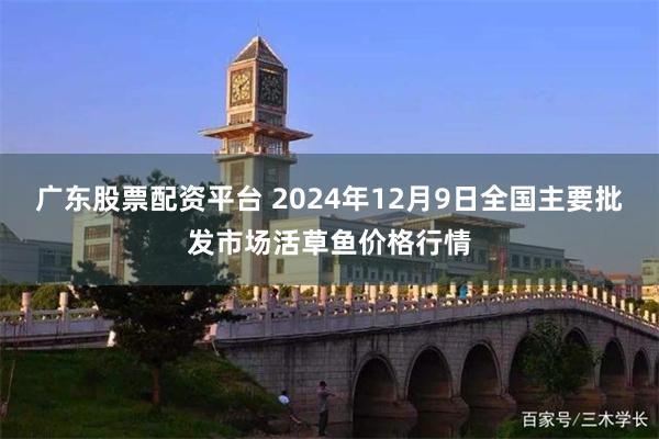 广东股票配资平台 2024年12月9日全国主要批发市场活草鱼价格行情