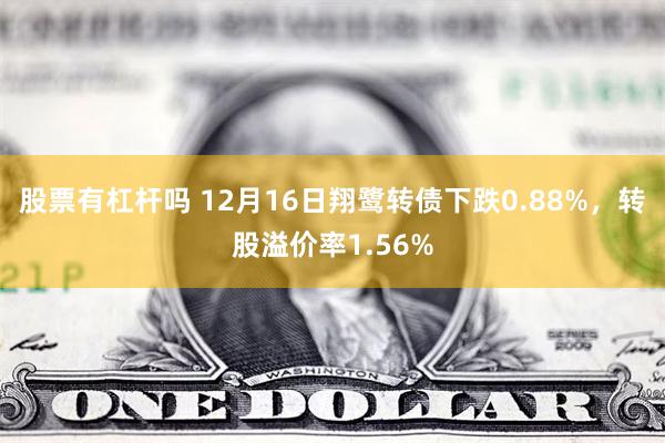 股票有杠杆吗 12月16日翔鹭转债下跌0.88%，转股溢价率1.56%