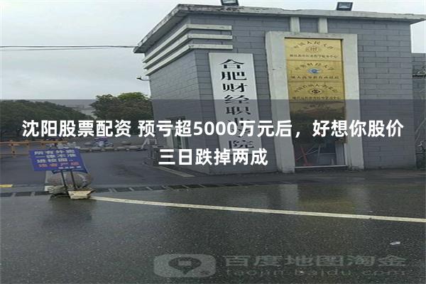 沈阳股票配资 预亏超5000万元后，好想你股价三日跌掉两成