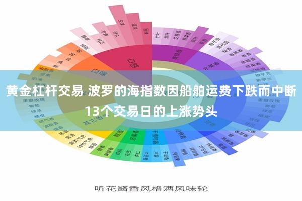 黄金杠杆交易 波罗的海指数因船舶运费下跌而中断13个交易日的上涨势头