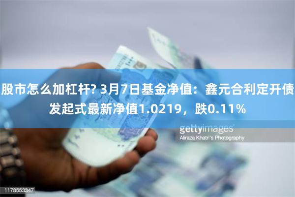 股市怎么加杠杆? 3月7日基金净值：鑫元合利定开债发起式最新净值1.0219，跌0.11%