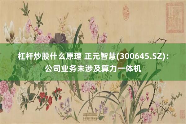 杠杆炒股什么原理 正元智慧(300645.SZ)：公司业务未涉及算力一体机